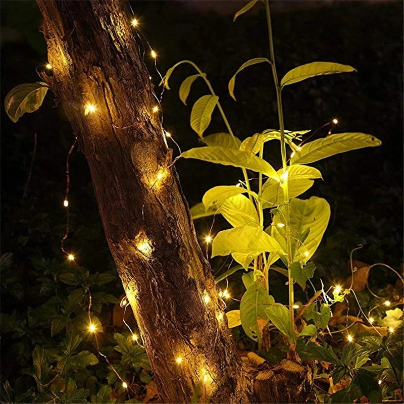Battery-Powered LED Fairy String Lights