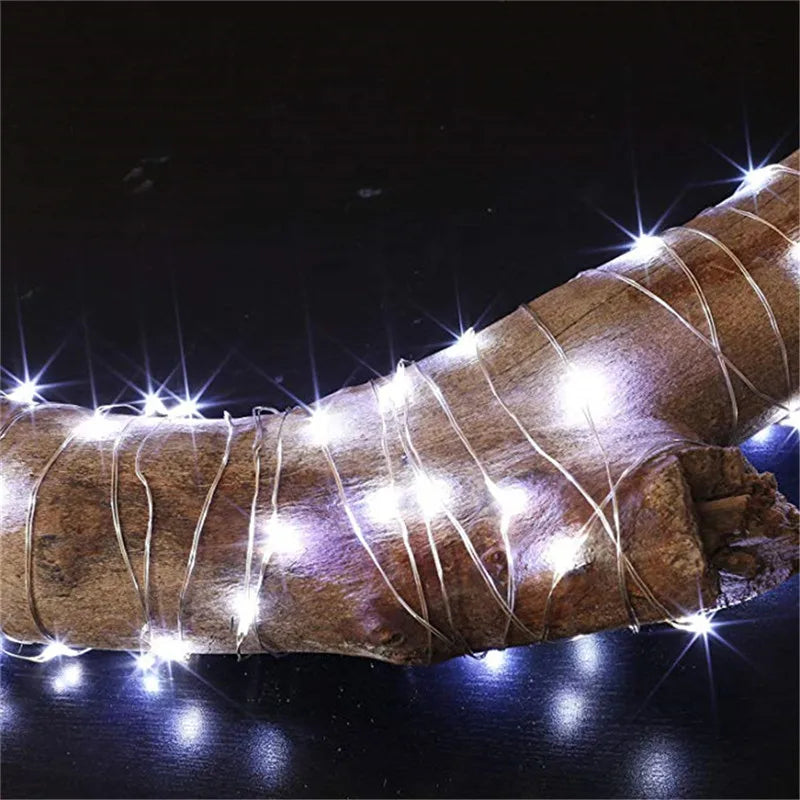Battery-Powered LED Fairy String Lights