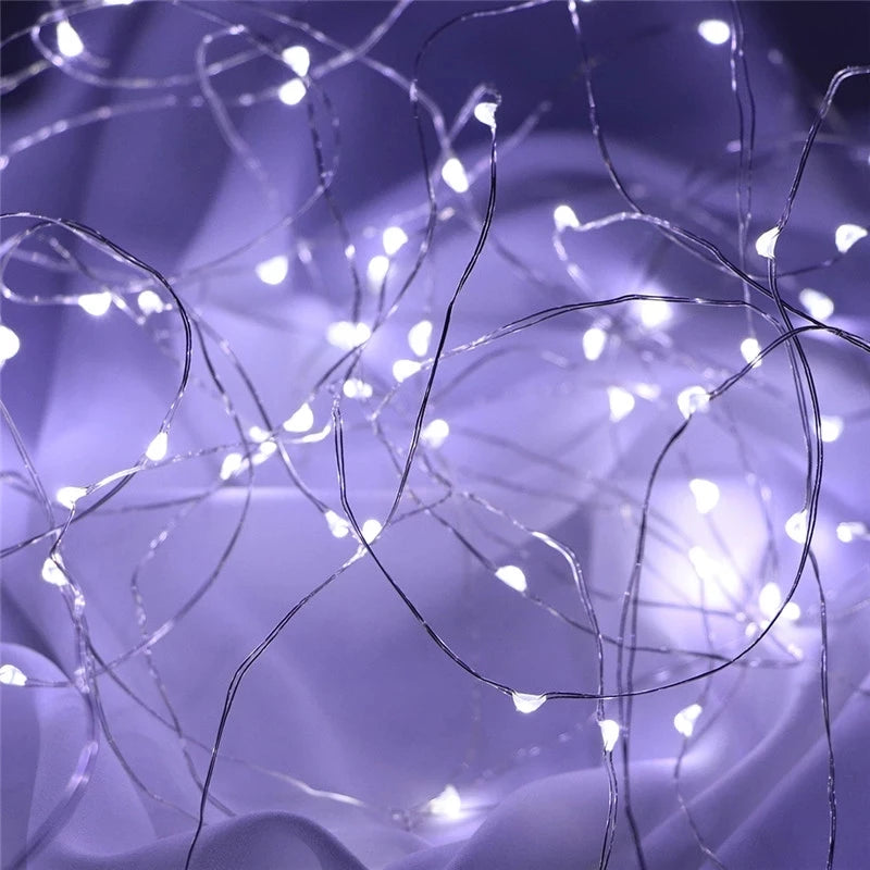 Battery-Powered LED Fairy String Lights