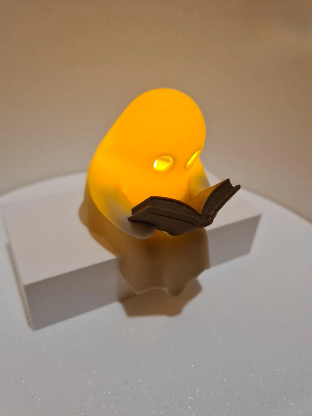 Reading Ghost Shelf-Sitter with Flickering Light