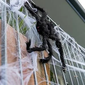 Halloween Spider & Web Decorations – Individual Options