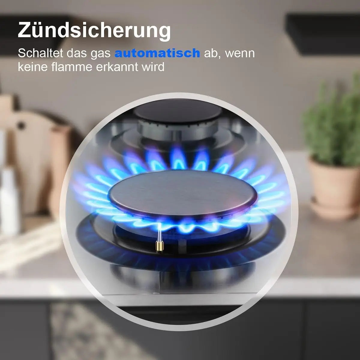 TopStrong 2-Burner Gas Cooktop – EU Model
