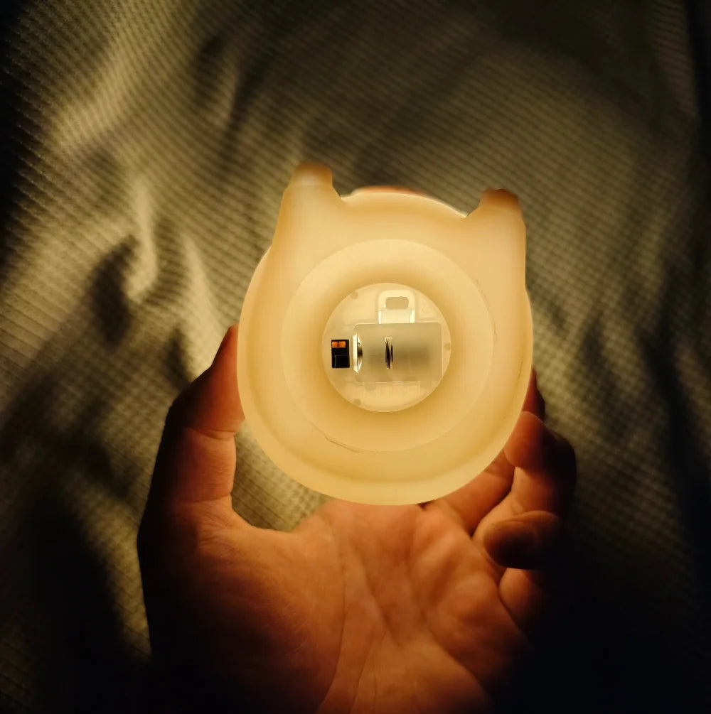 Capybara LED Night Light – Two Sizes