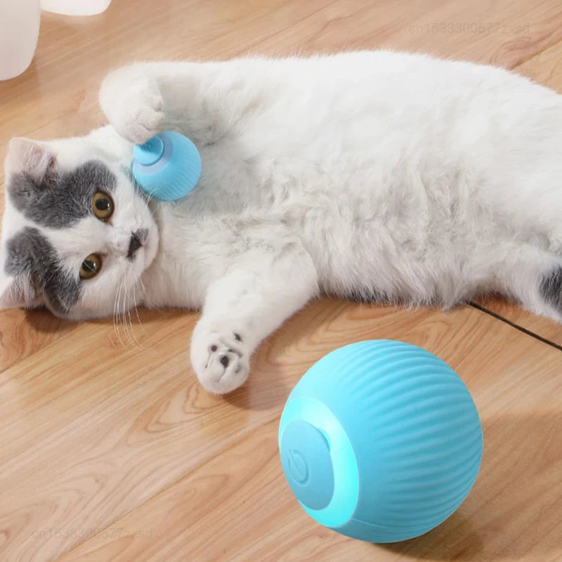 Rechargeable Rolling Cat Toy Ball