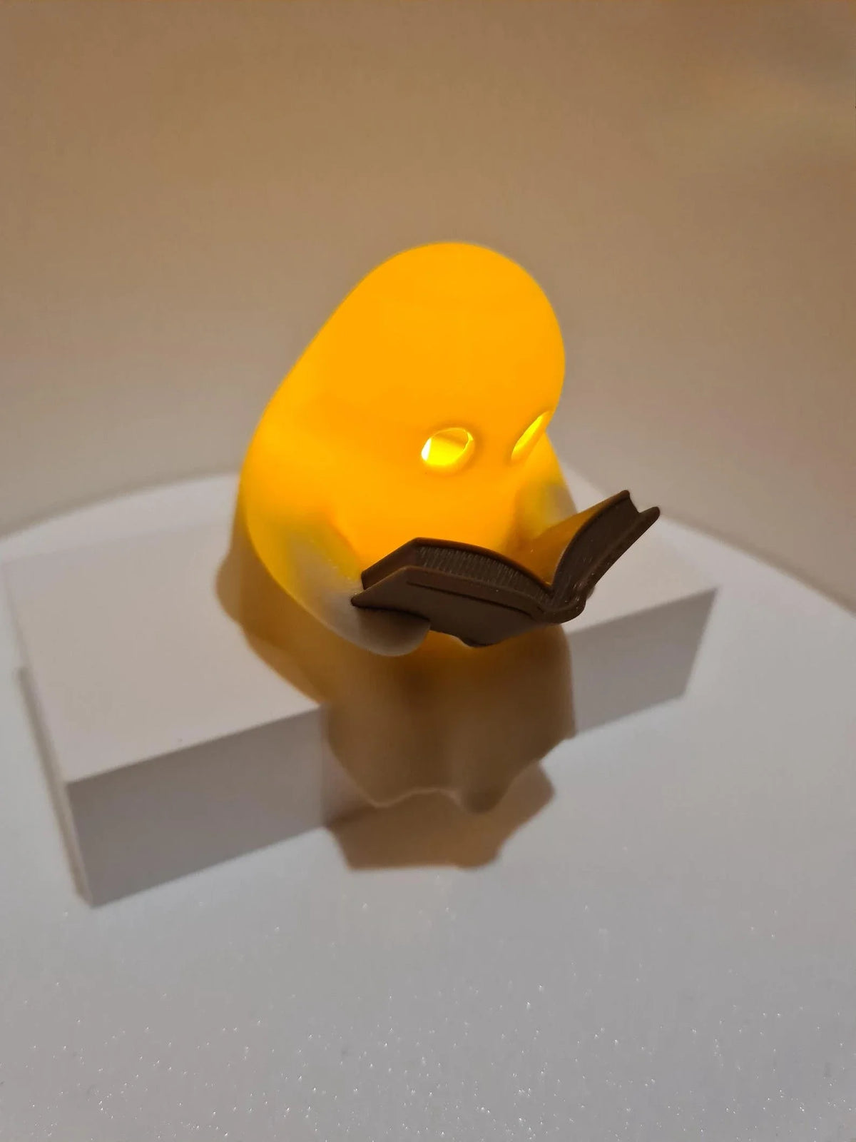Reading Ghost Shelf-Sitter with Flickering Light